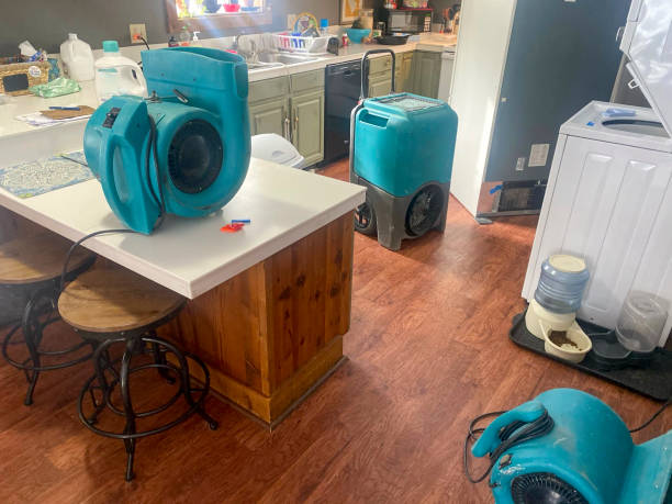 Best Water damage restoration cost  in Edburgh, IN