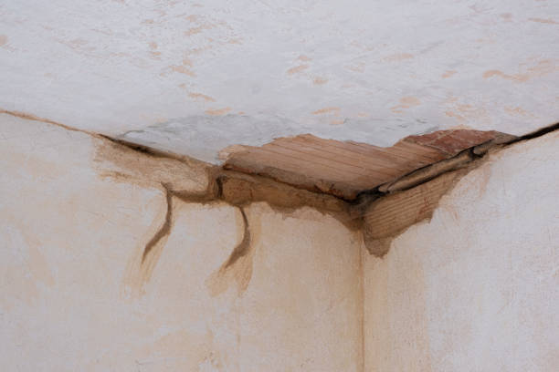  Edburgh, IN Water damage restoration Pros