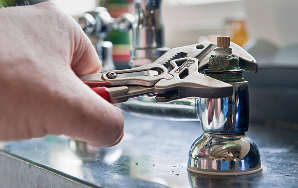 Best Professional water damage repair  in Edburgh, IN